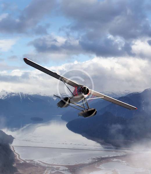 image13-copyright image13-copyright